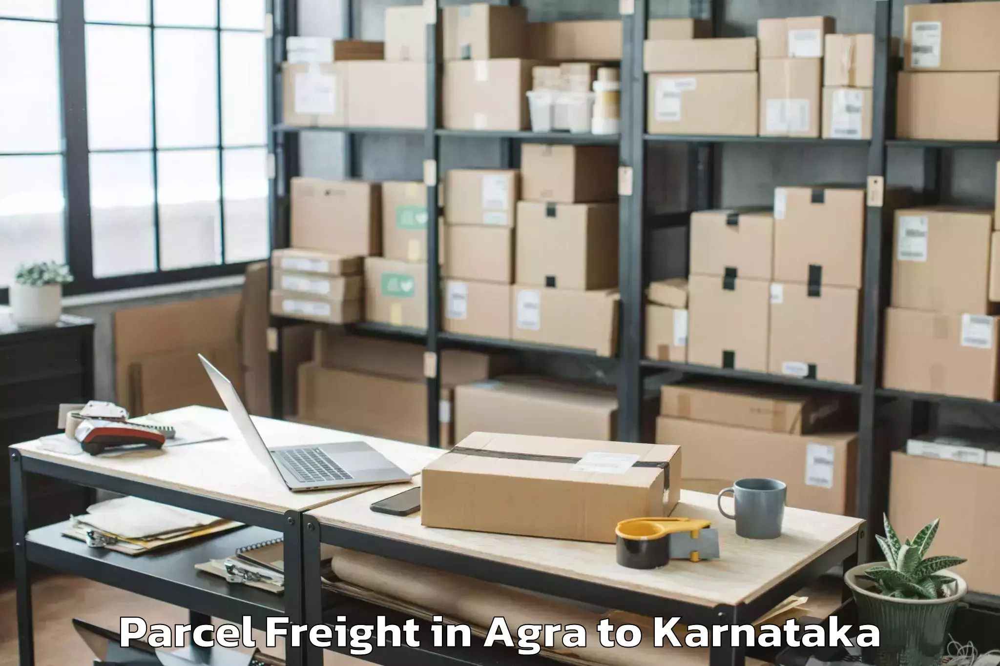 Professional Agra to Holalkere Parcel Freight